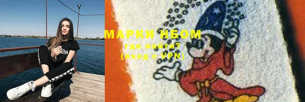 эйфоретик Аркадак