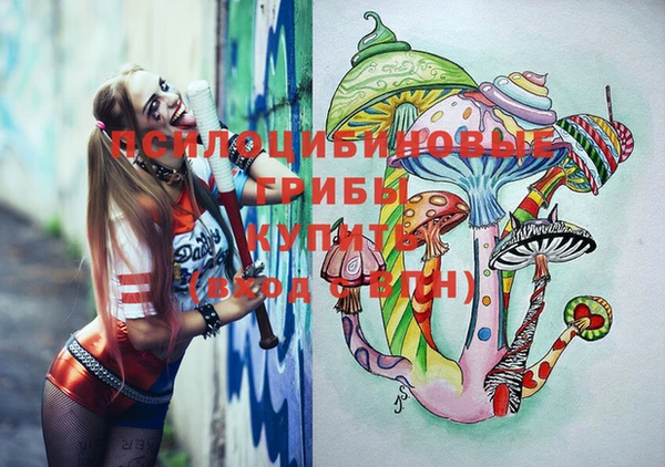 стафф Нягань