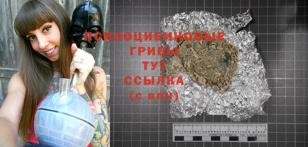 эйфоретик Аркадак