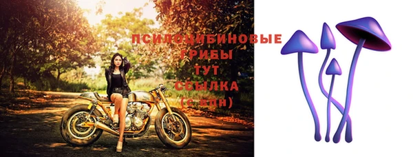 спиды Арсеньев