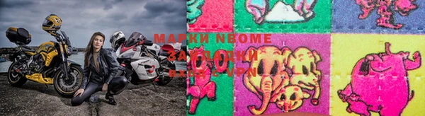 эйфоретик Аркадак