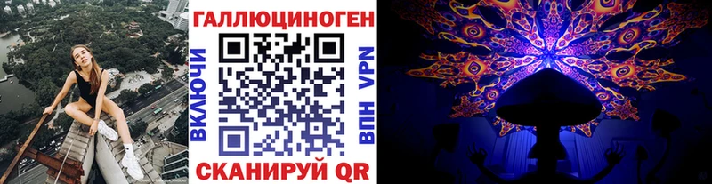 omg рабочий сайт  маркетплейс как зайти  Новоульяновск  Псилоцибиновые грибы GOLDEN TEACHER  наркошоп 