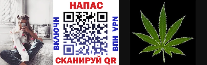 закладка  блэк спрут   Шишки марихуана гибрид  Новоульяновск 
